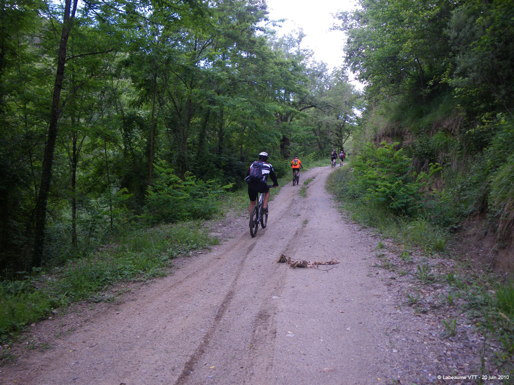 20100620_062