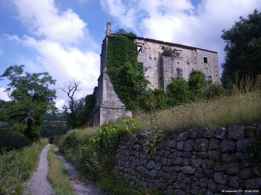 20100620_073