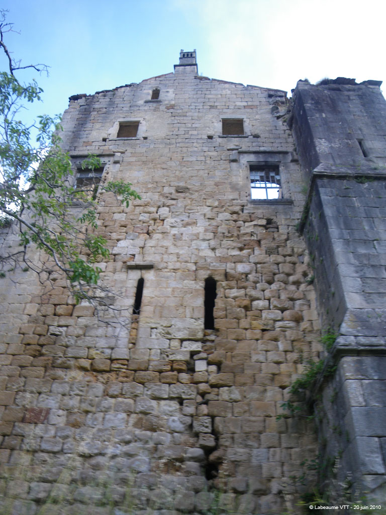 20100620_077