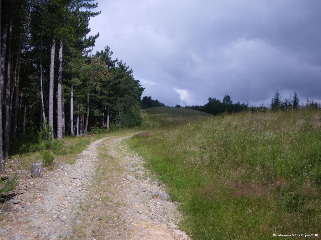 20100620_149