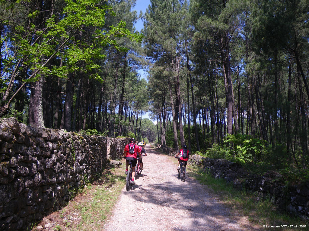 20100627_135