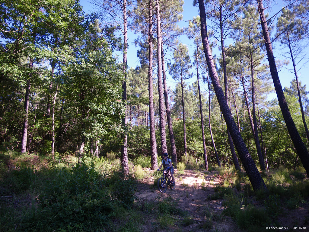 20100718_007