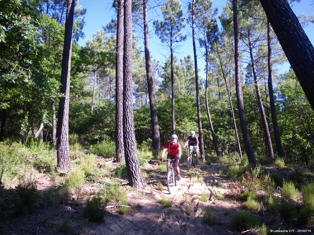 20100718_008