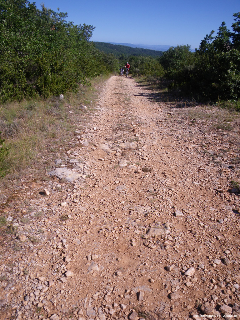 20100718_056