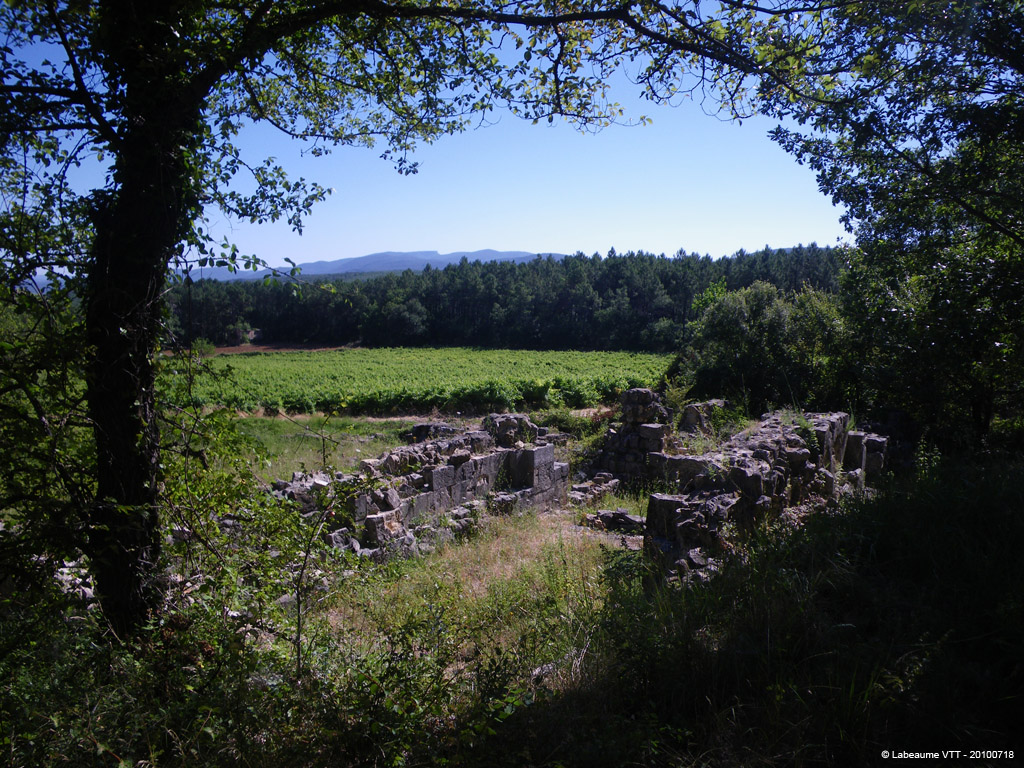 20100718_089