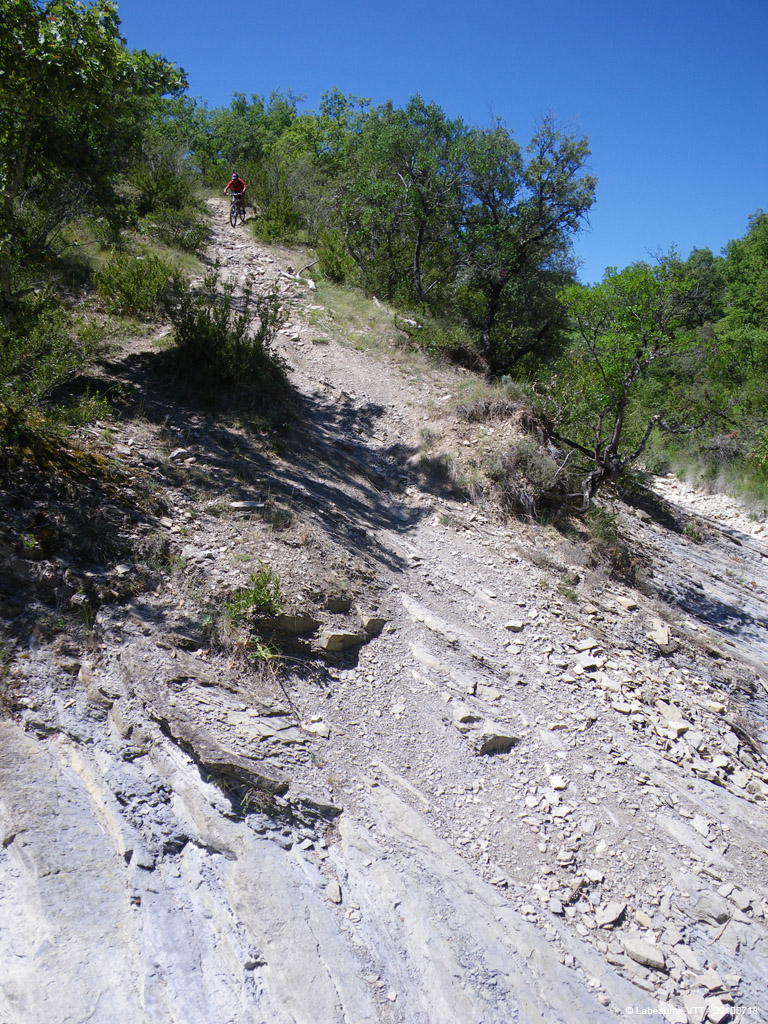 20100718_180