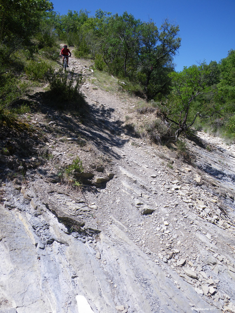 20100718_181
