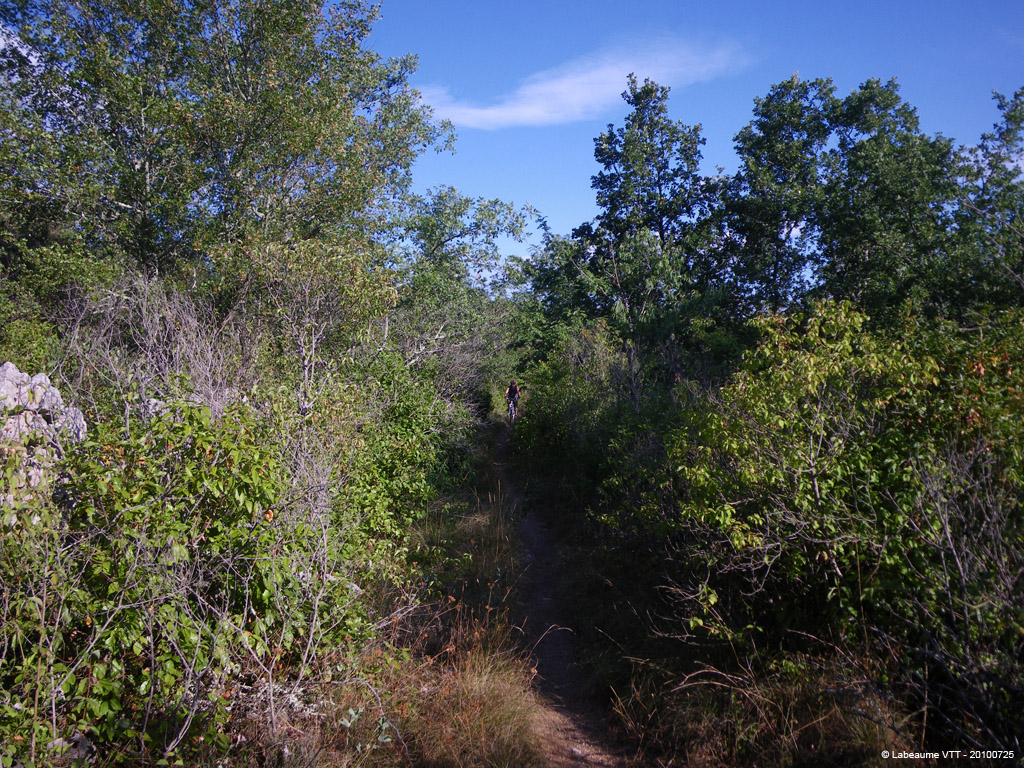 20100725_017
