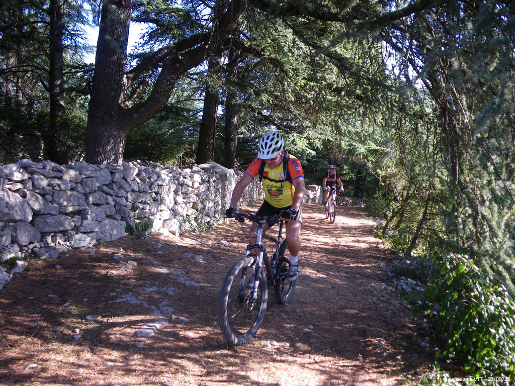 20100725_025