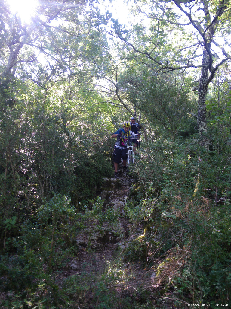 20100725_045