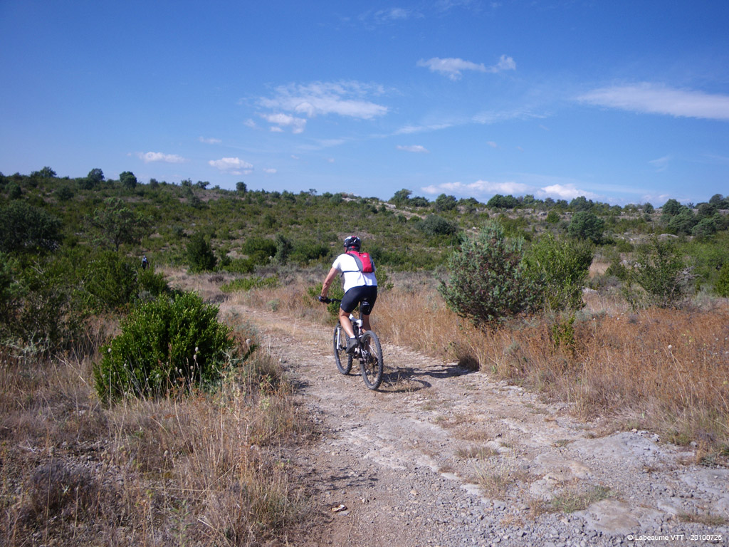 20100725_057