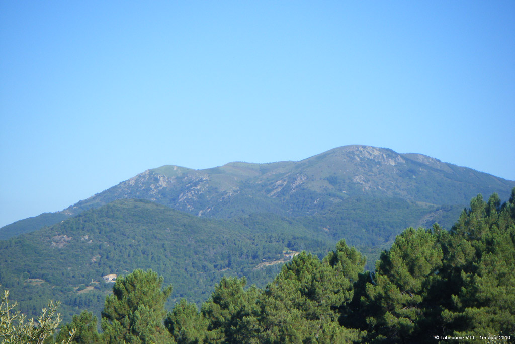 20100801_017