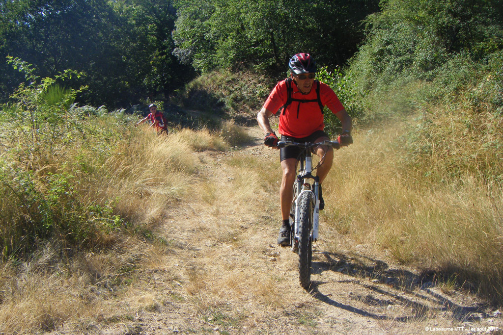 20100801_051