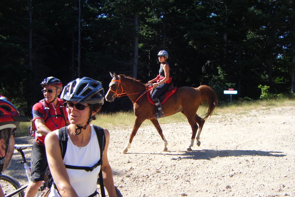 20100801_080