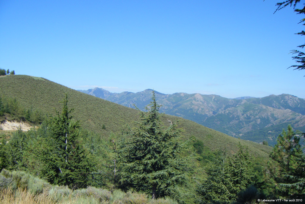 20100801_097