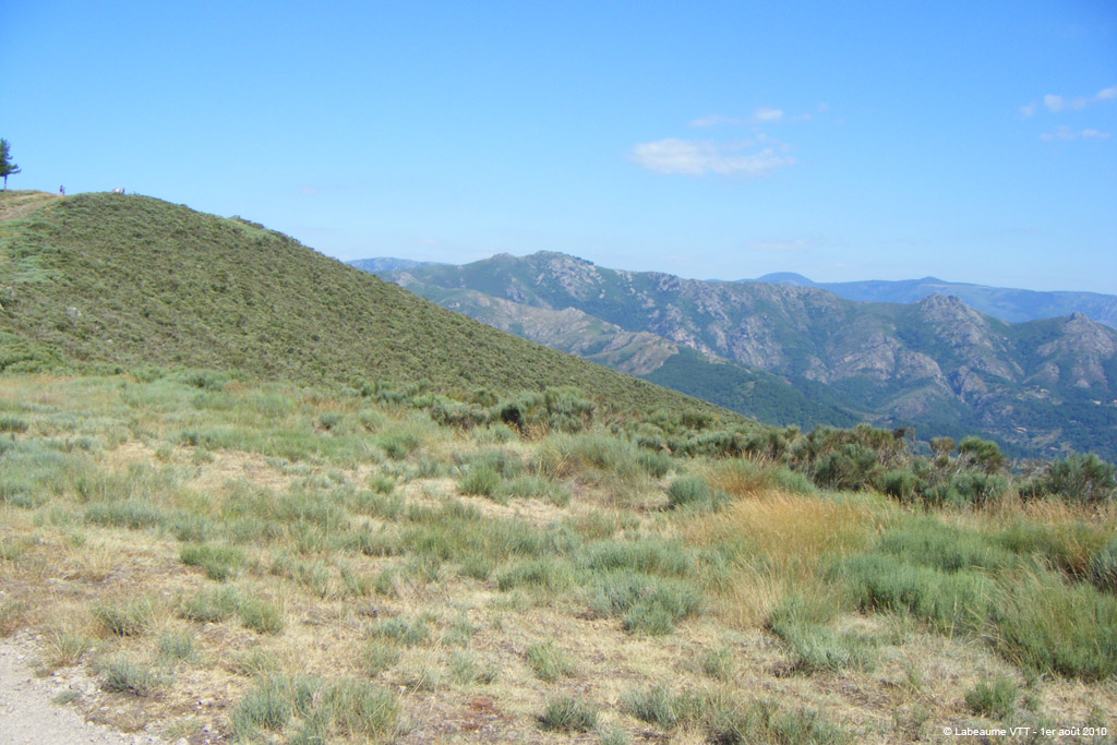 20100801_105