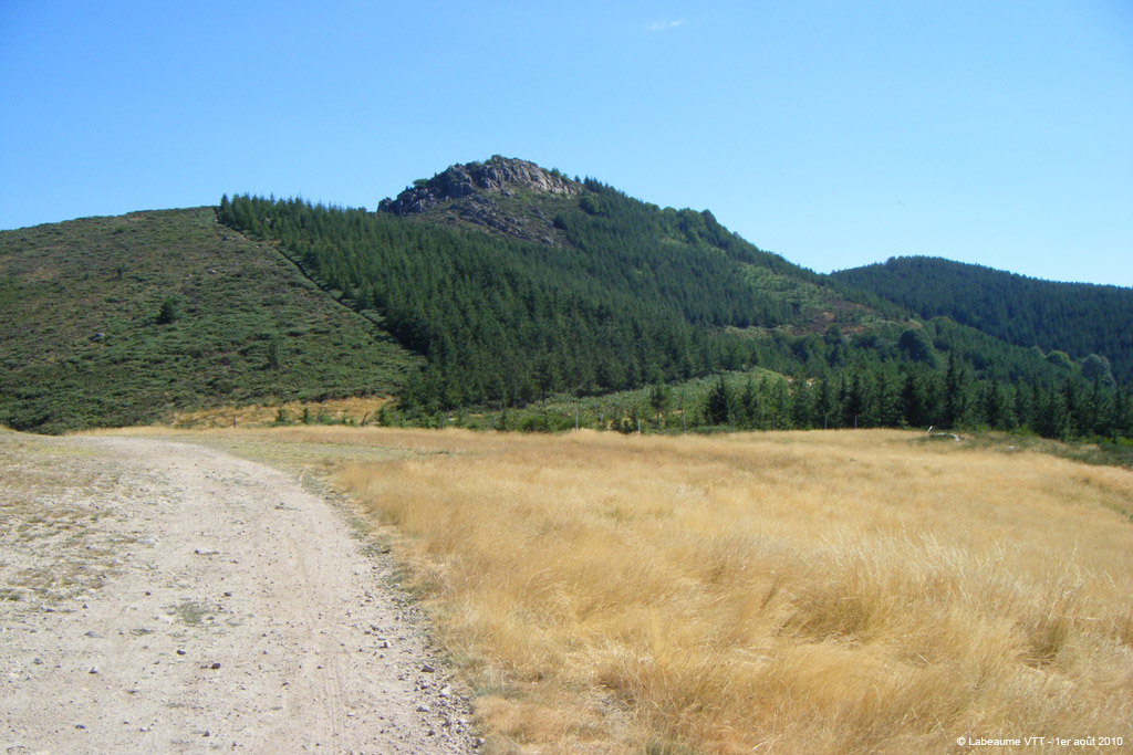 20100801_139