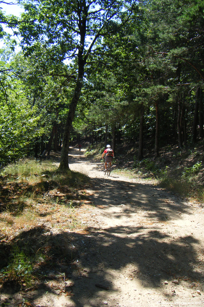 20100801_151