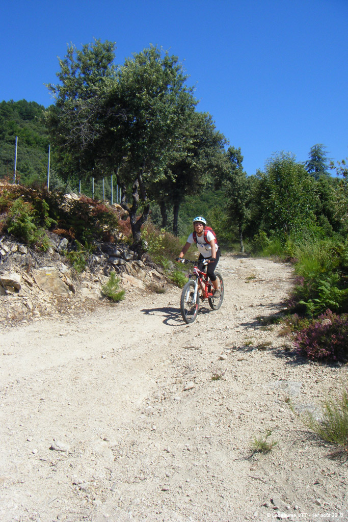 20100801_167