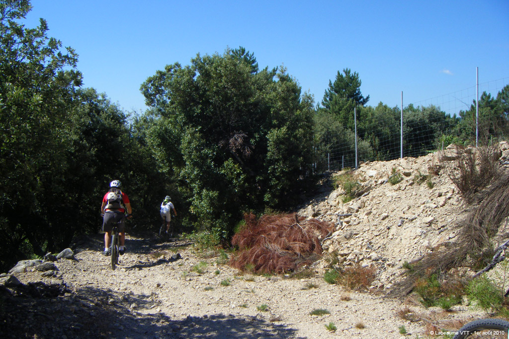 20100801_170