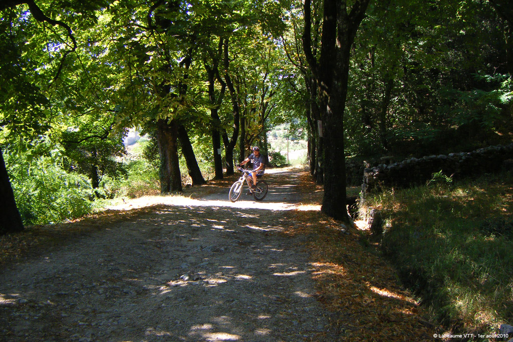 20100801_175