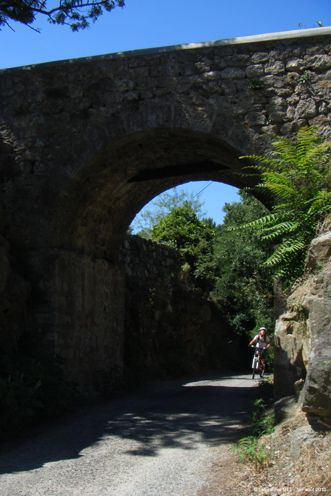 20100801_206