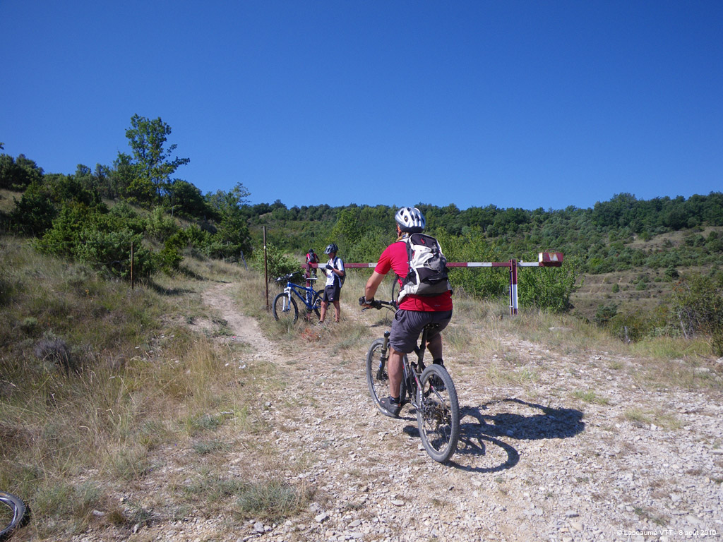 20100808_068