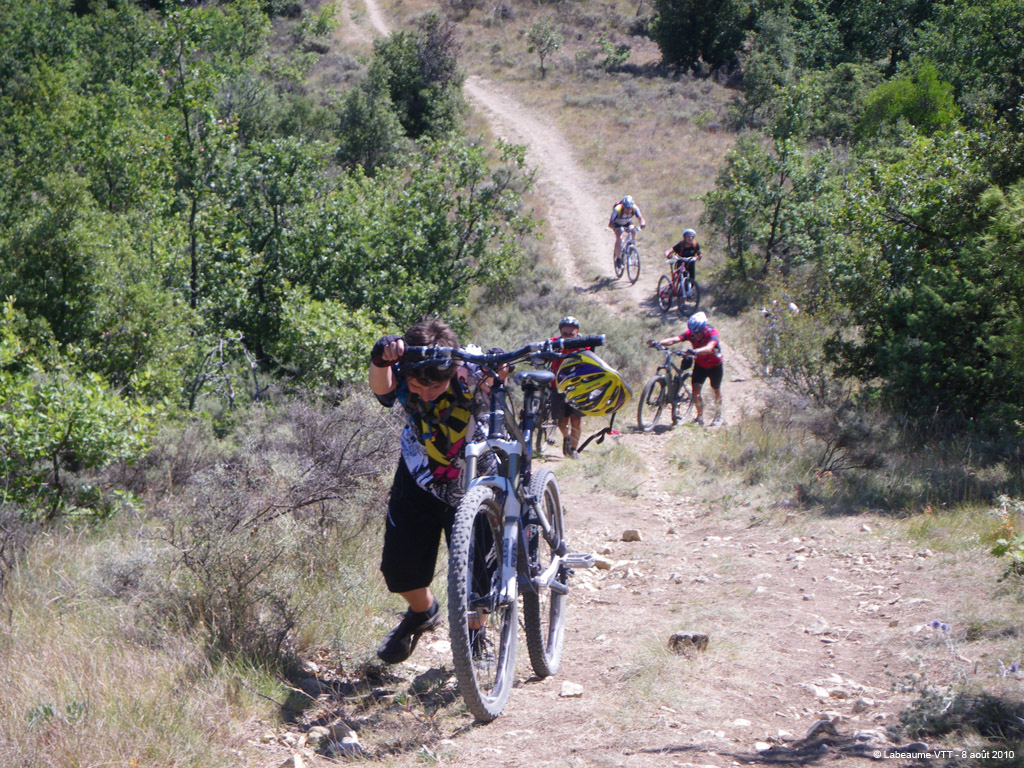 20100808_077
