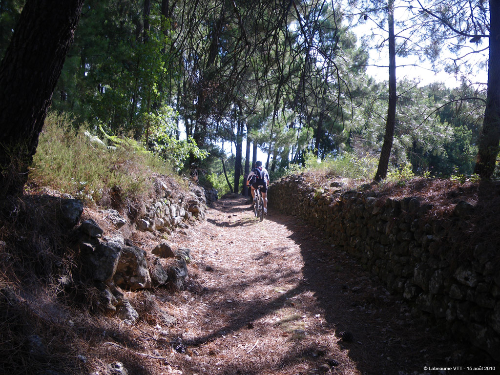 20100815_066