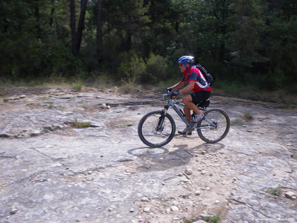 20100815_117
