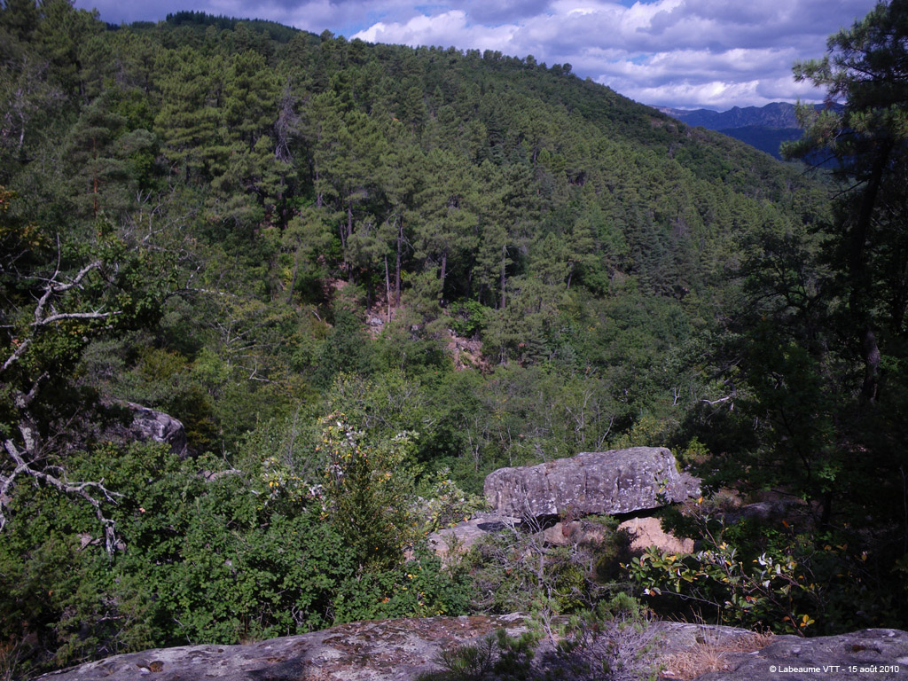 20100815_137