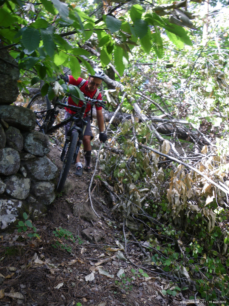 20100815_143