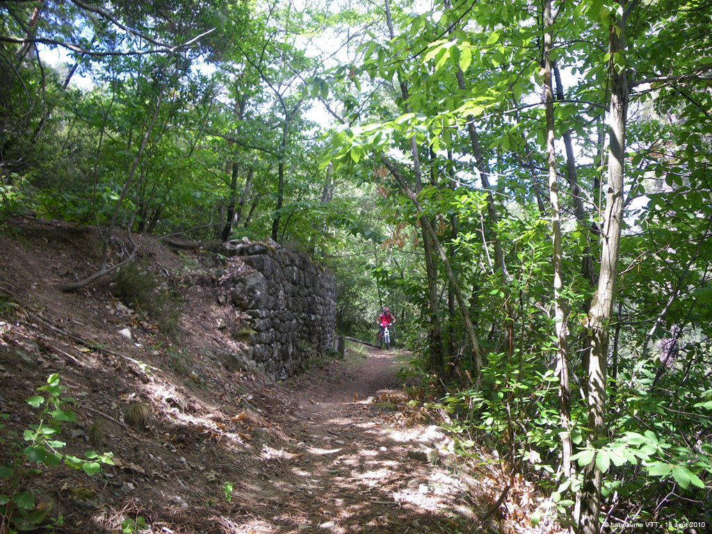 20100815_147