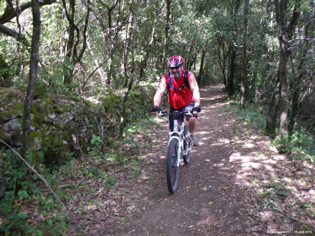 20100815_155