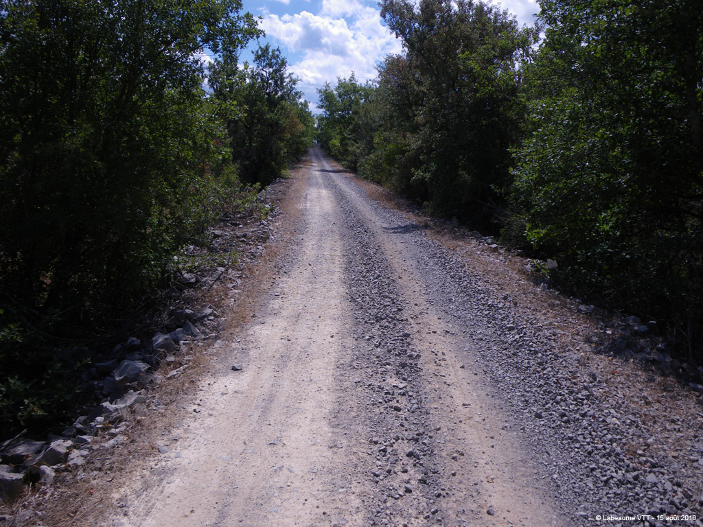 20100815_197