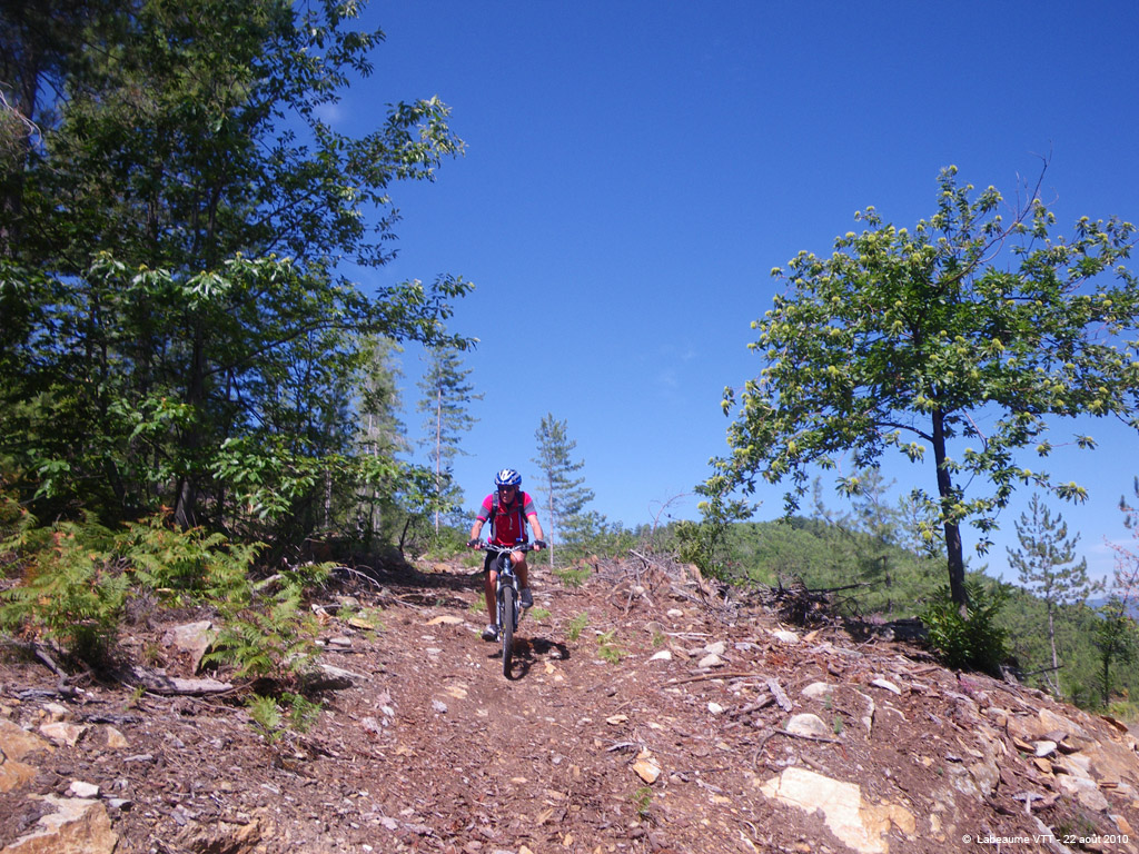 20100822_86