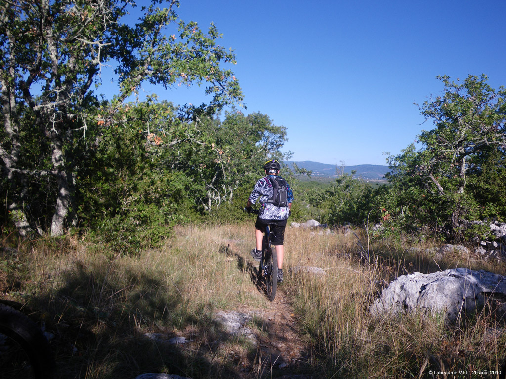 20100829_028