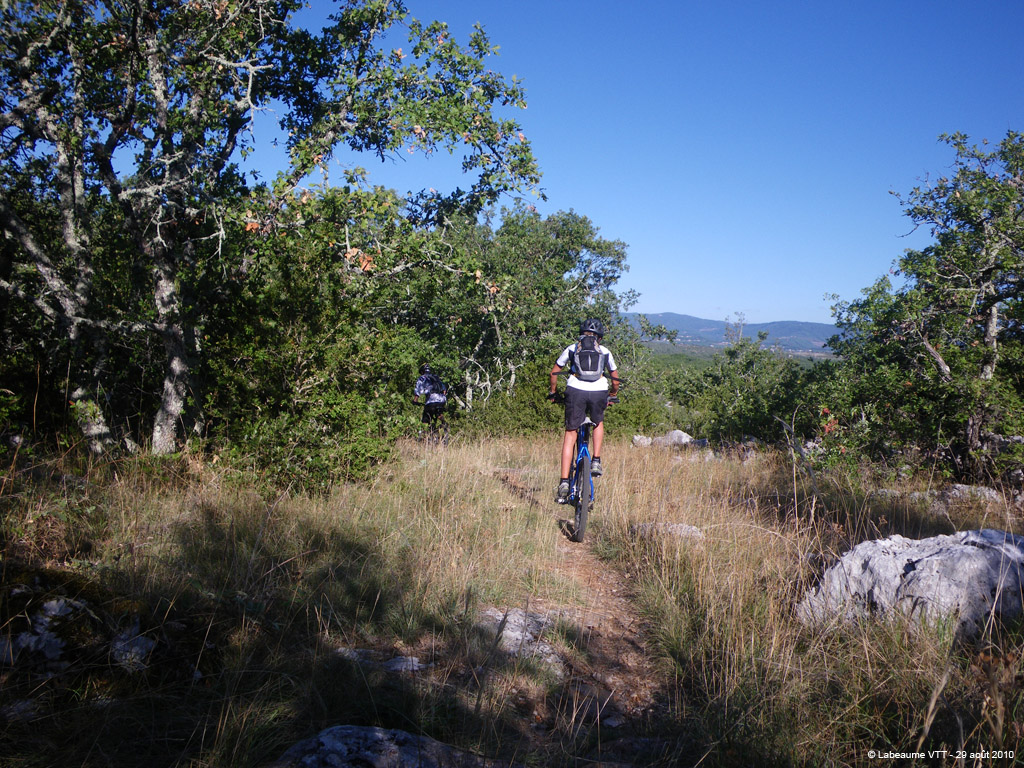 20100829_029
