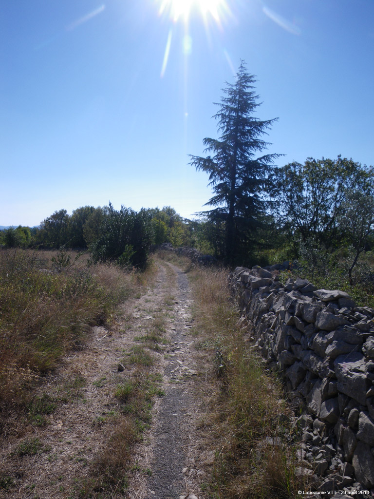 20100829_095