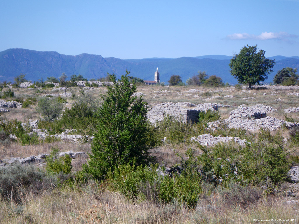 20100829_101