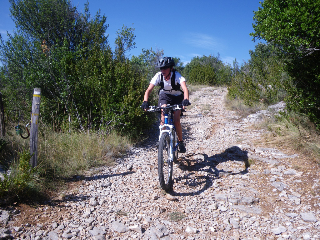 20100829_130