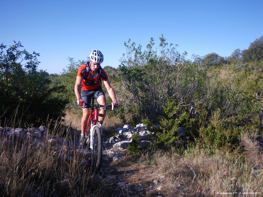 20100905_14