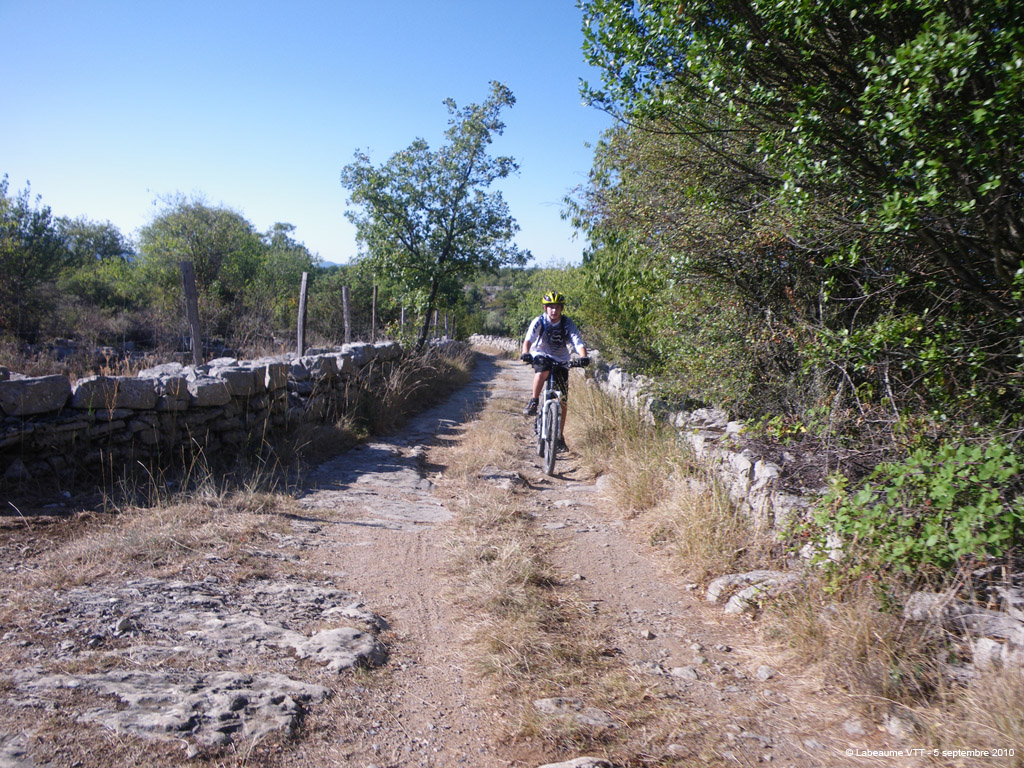20100905_40