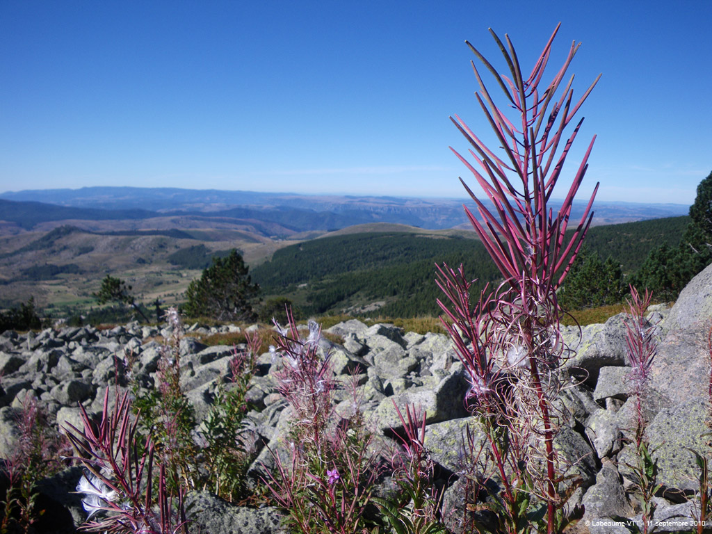 20100911_135