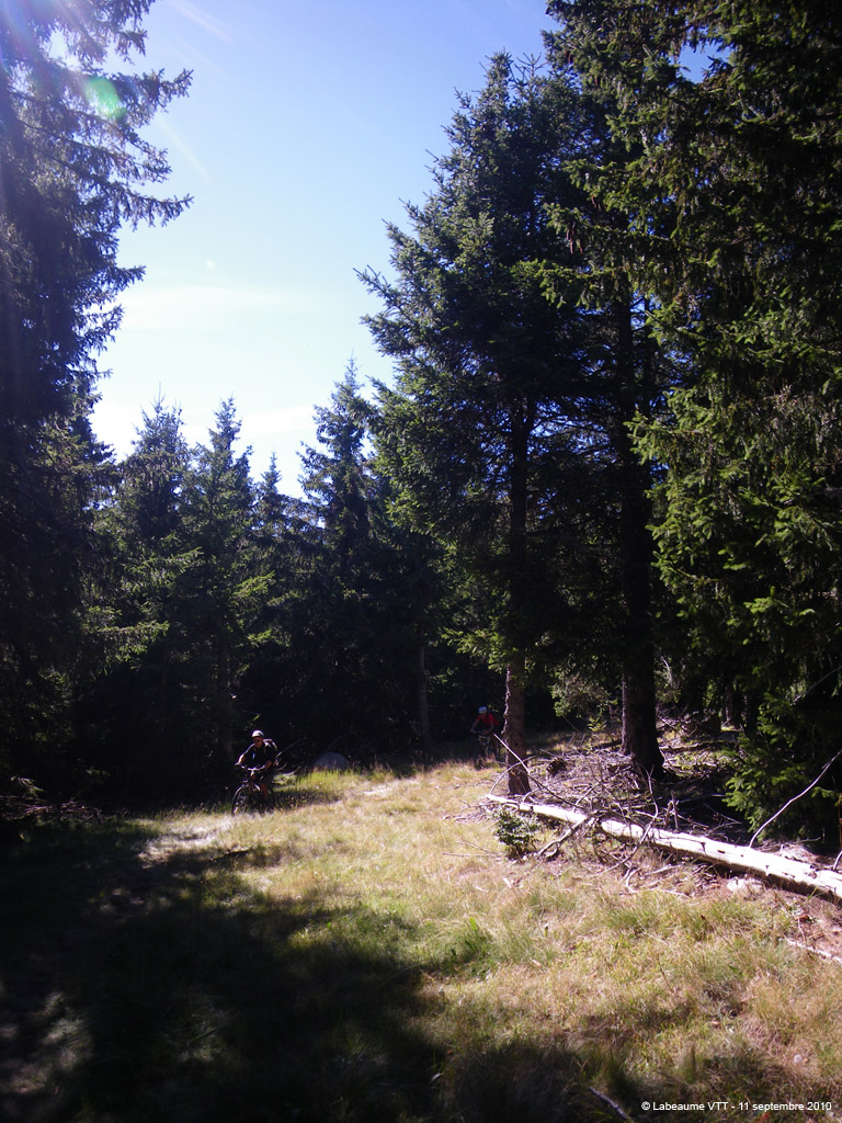 20100911_401