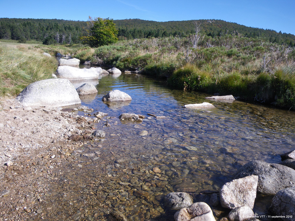 20100911_503