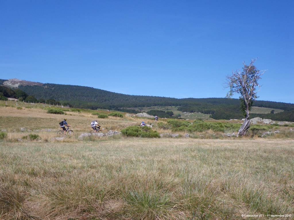 20100911_504