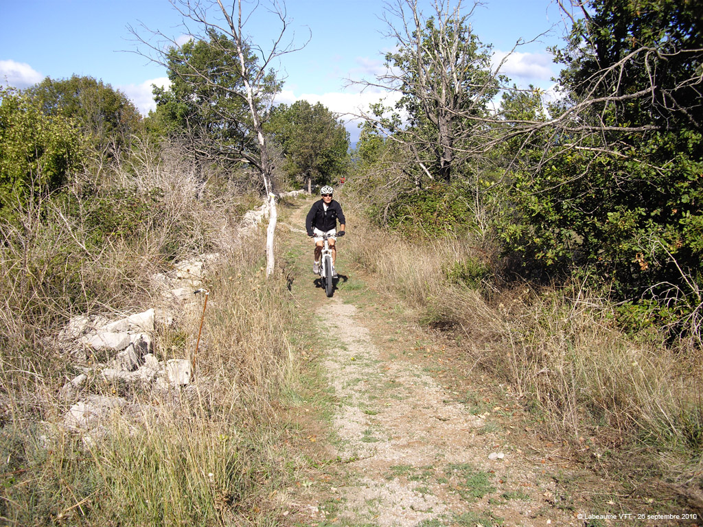 20100926_41