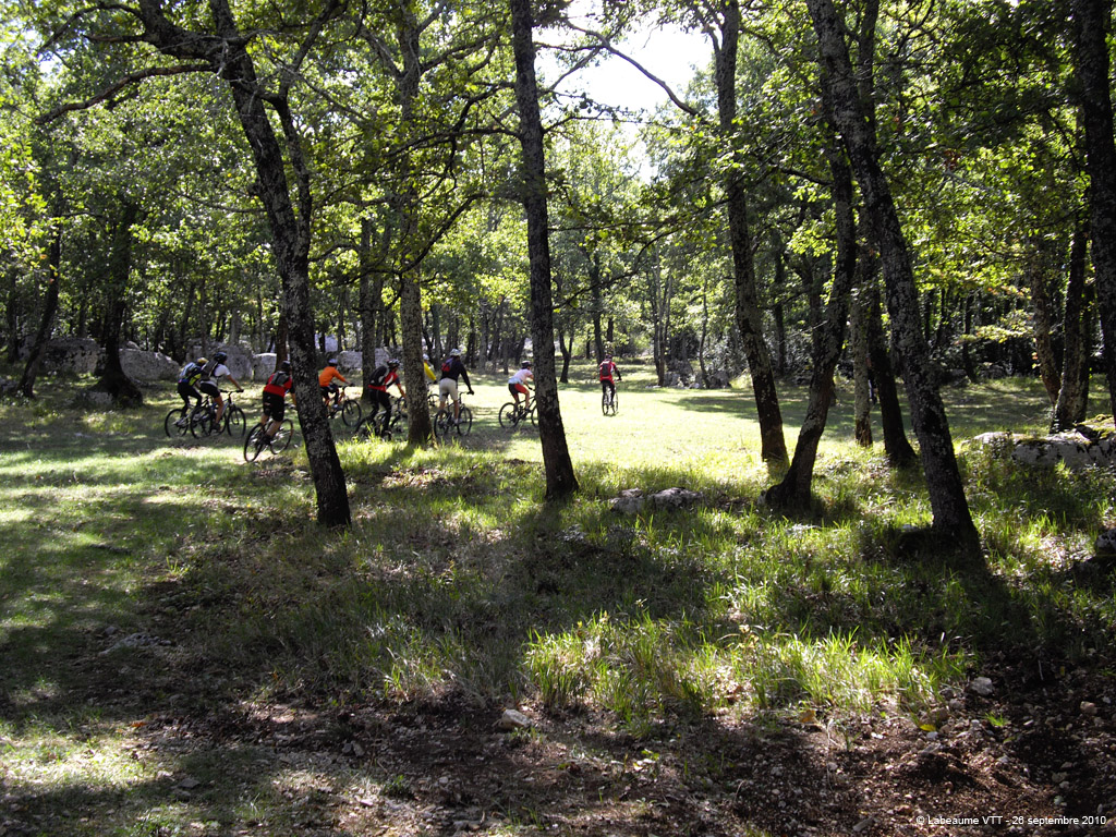 20100926_52