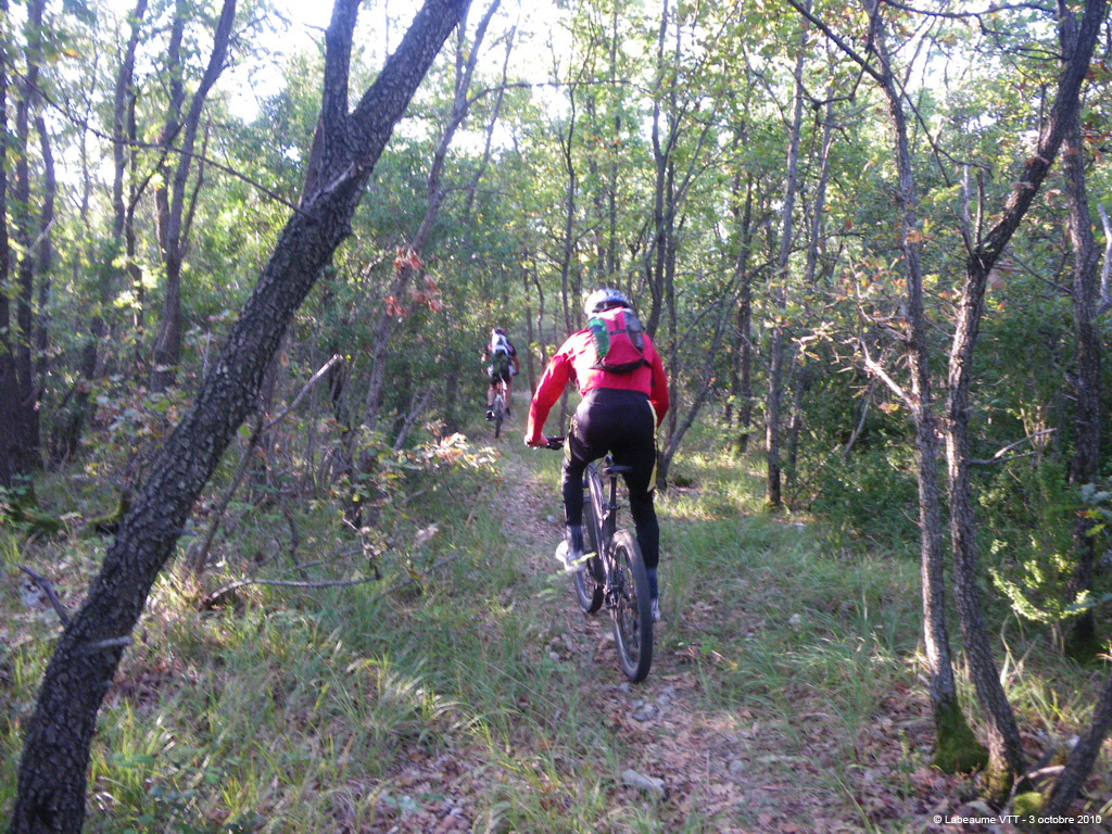 20101003_20